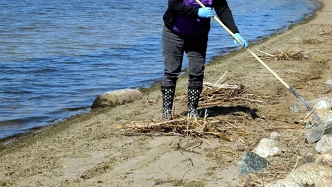 Closeup clip of a woman using a rake to clean debris on the beach Stock Footage 143406921
