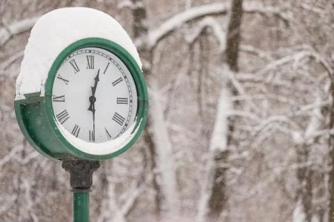 Closeup of clock in the park on the background of trees. On the clock is a th Stock Photos