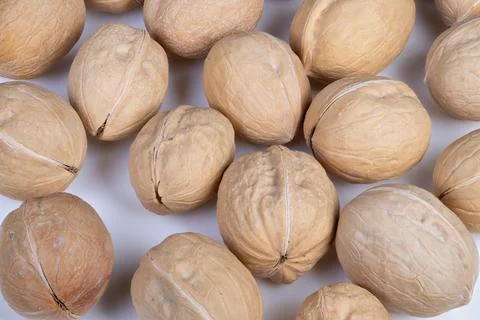 Closeup cluster of walnuts in shells on white backdrop, natural brown tones, sha Foto stock