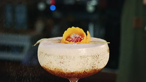 Closeup cocktail decoration Stock Footage 92295333