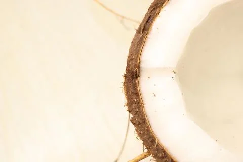 CloseUp of the Coconut Interior Showcasing Its Rich Texture and Intricate Stock Photos