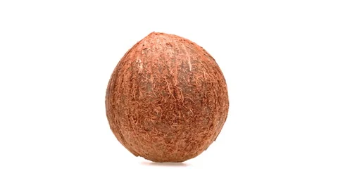 Closeup of coconut isolated on white background. Stock-Footage 161038865