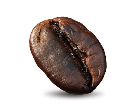 Closeup, coffee bean and shadow, isolated on white background Stock Photos