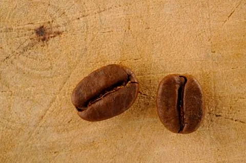 Closeup coffee bean Stock Photos
