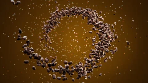 Closeup coffee bean seed isolated with a part spiral. Stock Footage 284814544