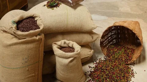 Closeup of coffee beans and hands shaking Video stock 80197434