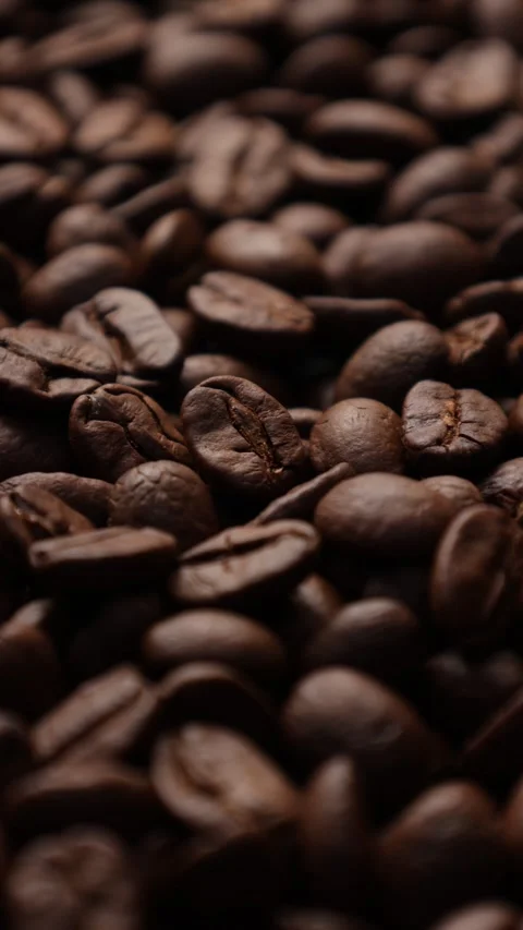 Closeup of a coffee beans background Stock Footage 311309694