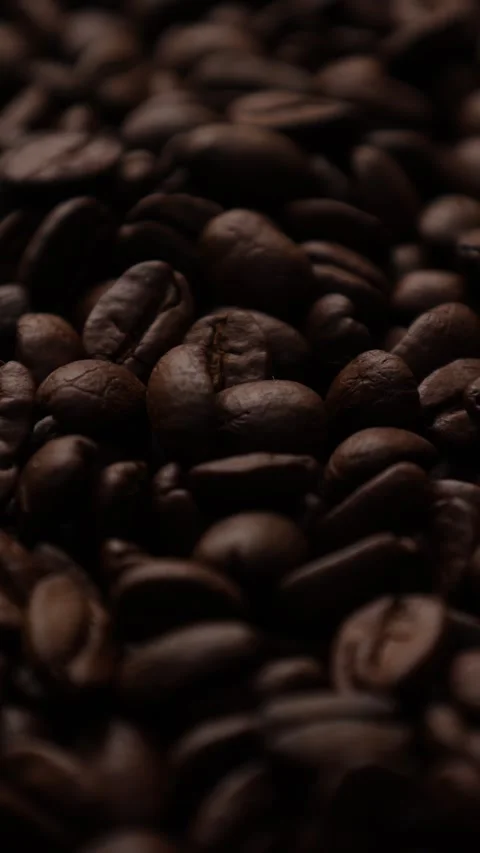 Closeup of a coffee beans background Stock Footage 311309697