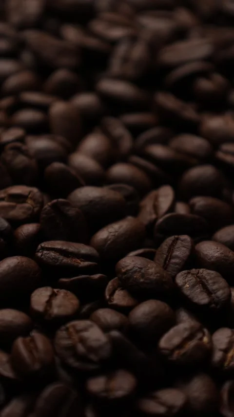 Closeup of a coffee beans background Stock Footage 311309721