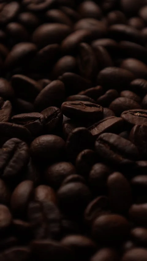 Closeup of a coffee beans background Stock Footage 311309734