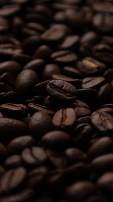 Closeup of a coffee beans background Stock Footage 311309747