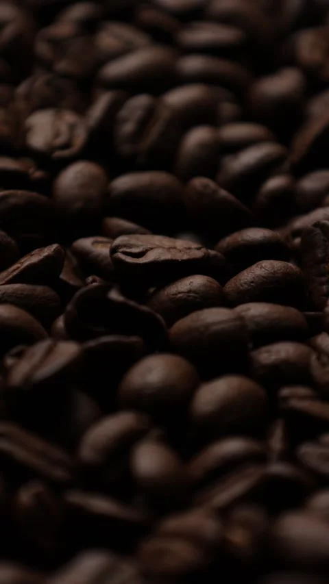 Closeup of a coffee beans background Stock Footage 311309766