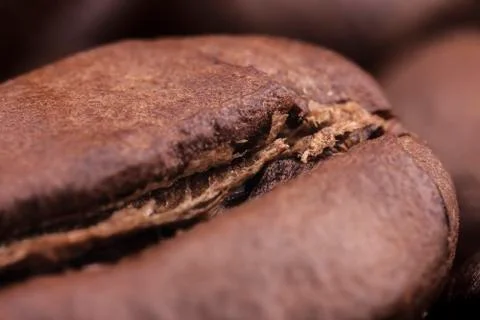 Closeup of coffee beans with focus on one, macro Stock Photos