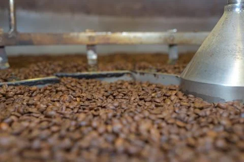 Closeup of coffee beans in hopper Stock Photos