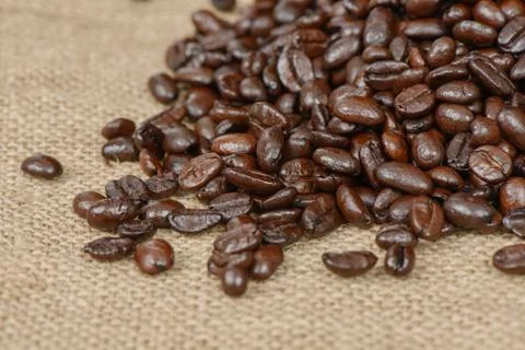 Closeup of coffee beans Stock Photos