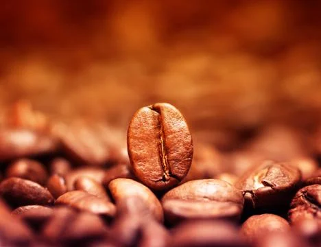 Closeup of coffee beans