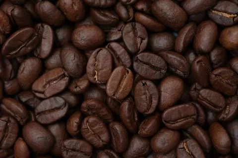 Closeup of a coffee beans Фото