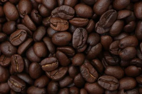 Closeup of a coffee beans 스톡 사진