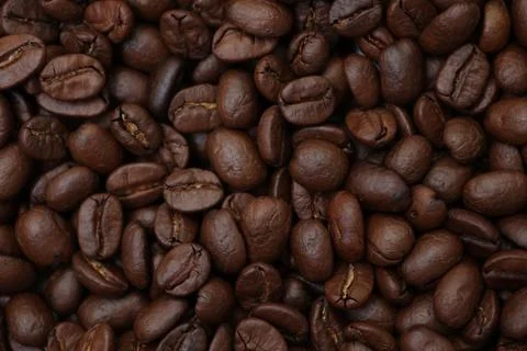 Closeup of a coffee beans Фото