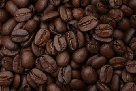 Closeup of a coffee beans Fotos Stock