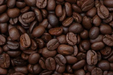 Closeup of a coffee beans Fotos Stock