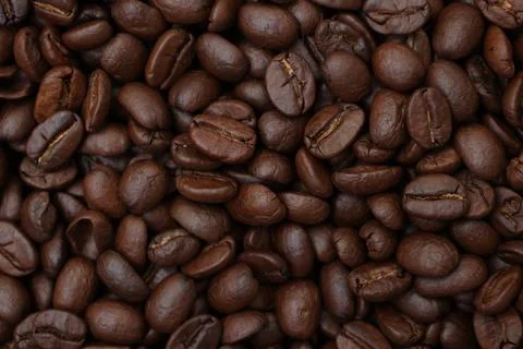 Closeup of a coffee beans Фото