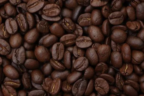 Closeup of a coffee beans Fotos de archivo