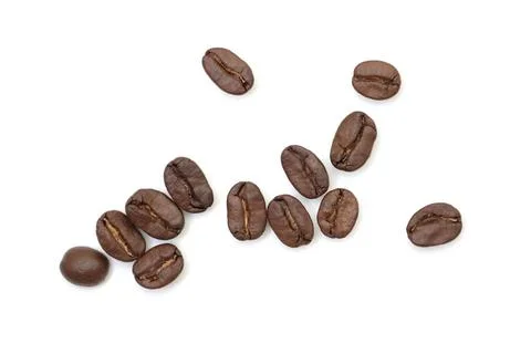 Closeup of a coffee beans Фото