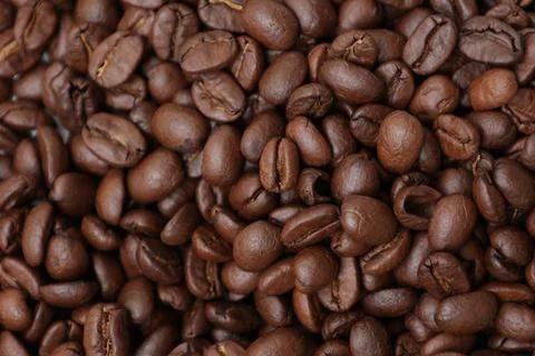 Closeup of a coffee beans Fotos de archivo