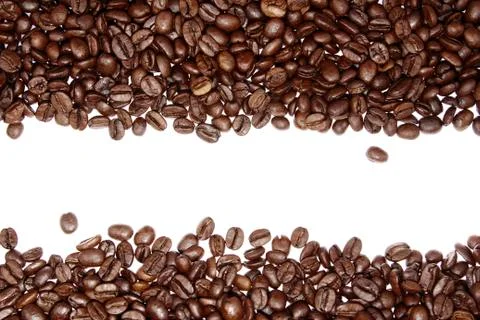 Closeup of coffee beans on plain background Stock Photos