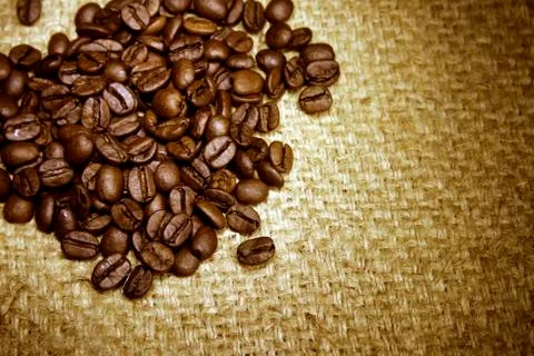 Closeup of coffee beans on sacking Stock Photos