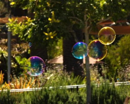 Closeup of colorful bubbles floating in background of trees Stock Photos