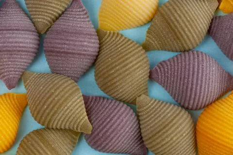 Closeup of Conchiglie Rigate pasta shells on light blue background Stock Photos