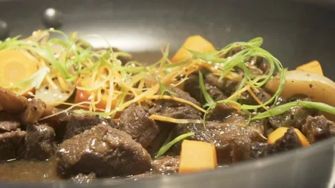 Closeup of Cooked Beef and Carrots Stew Dish Vidéo 219596433
