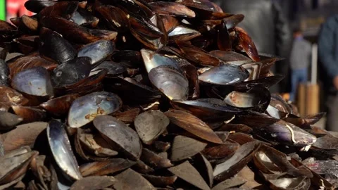 Closeup Cooked Mussels 1 Stock Footage 234429885