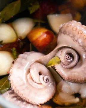 Closeup of a cooked octopus dish Stock Photos