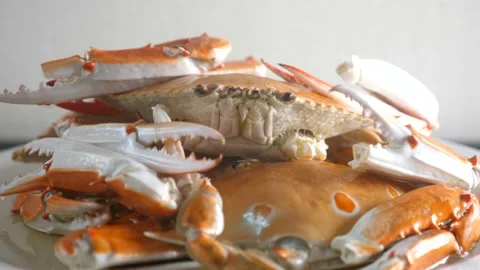 Closeup of cooked steamed whole shellfish blue swimming crab on plate with steam Stock Footage 165350922