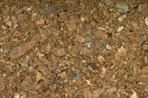 Closeup of cork board Stock Photos