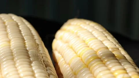 Closeup of a corn, corn on black Stock Footage 302538033
