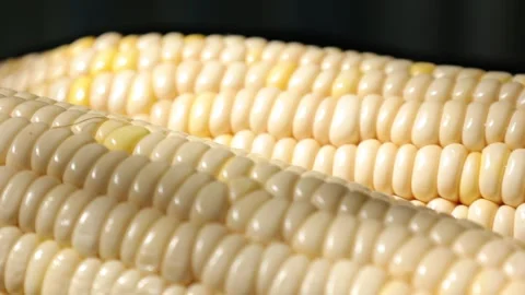 Closeup of a corn, corn on black Stock Footage 302538072