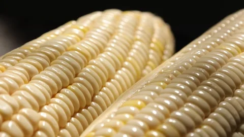 Closeup of a corn, corn on black Stock Footage 302538122