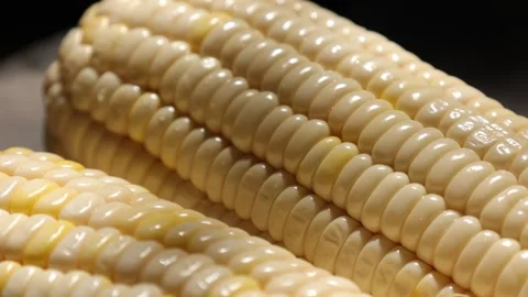 Closeup of a corn, corn on black Stock Footage 302538258