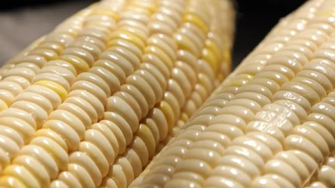 Closeup of a corn, corn on black Stock Footage 302538273