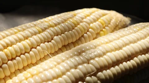 Closeup of a corn, corn on black Stock Footage 302538328