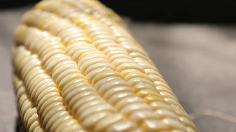 Closeup of a corn, corn on black Stock Footage 302538386