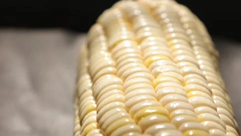 Closeup of a corn, corn on black Stock Footage 302538442
