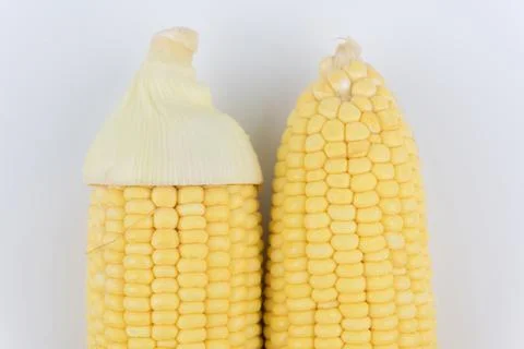 Closeup Corn isolated on a white background Stock Photos