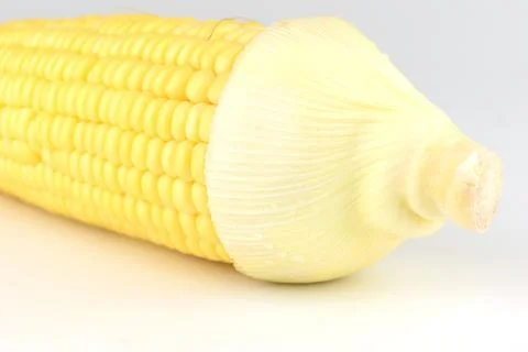Closeup Corn isolated on a white background 스톡 사진