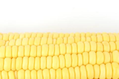 Closeup Corn isolated on a white background Stock Photos