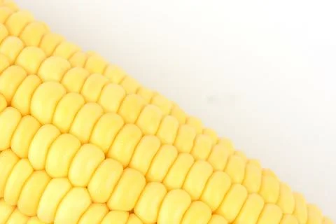 Closeup Corn isolated on a white background Stock Photos